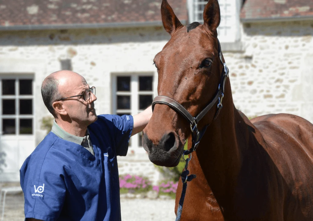 Patrick Biaud, dentiste équin / technicien dentaire équin — soins dentaires à domicile